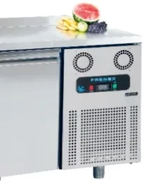 Frenox / Inoksan BGN2-R290 430K İki Kapılı Yatay Buzdolabı