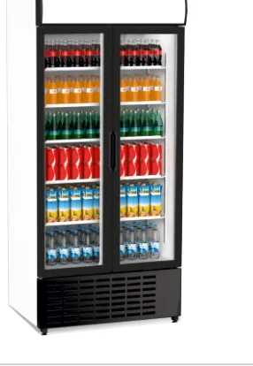 Senox SDS 1010 DC 2 CF Siyah Kanopili Çarpma Kapılı