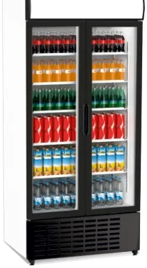 Senox SDS 1010 DC 2 CF Siyah Kanopili Çarpma Kapılı