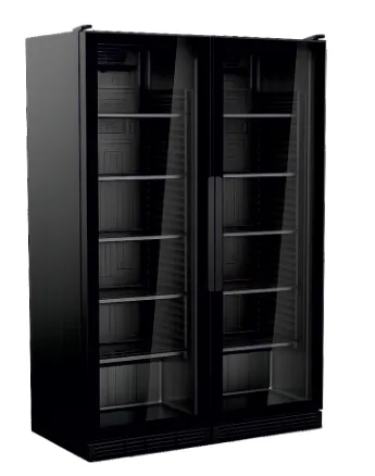 Senox SDS 770 DC 2 DF Siyah Kanopisiz Çarpma Kapılı